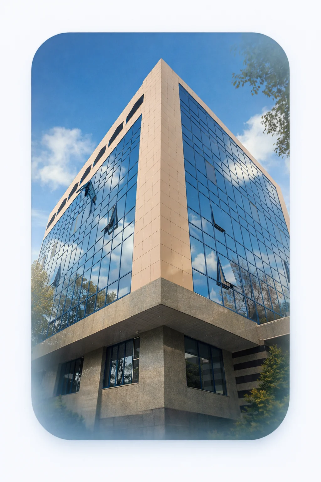 Regatta Consult Launches U.S. Legal Practice and New Website to Support Business Expansion